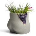 Amethyst Butt Planter