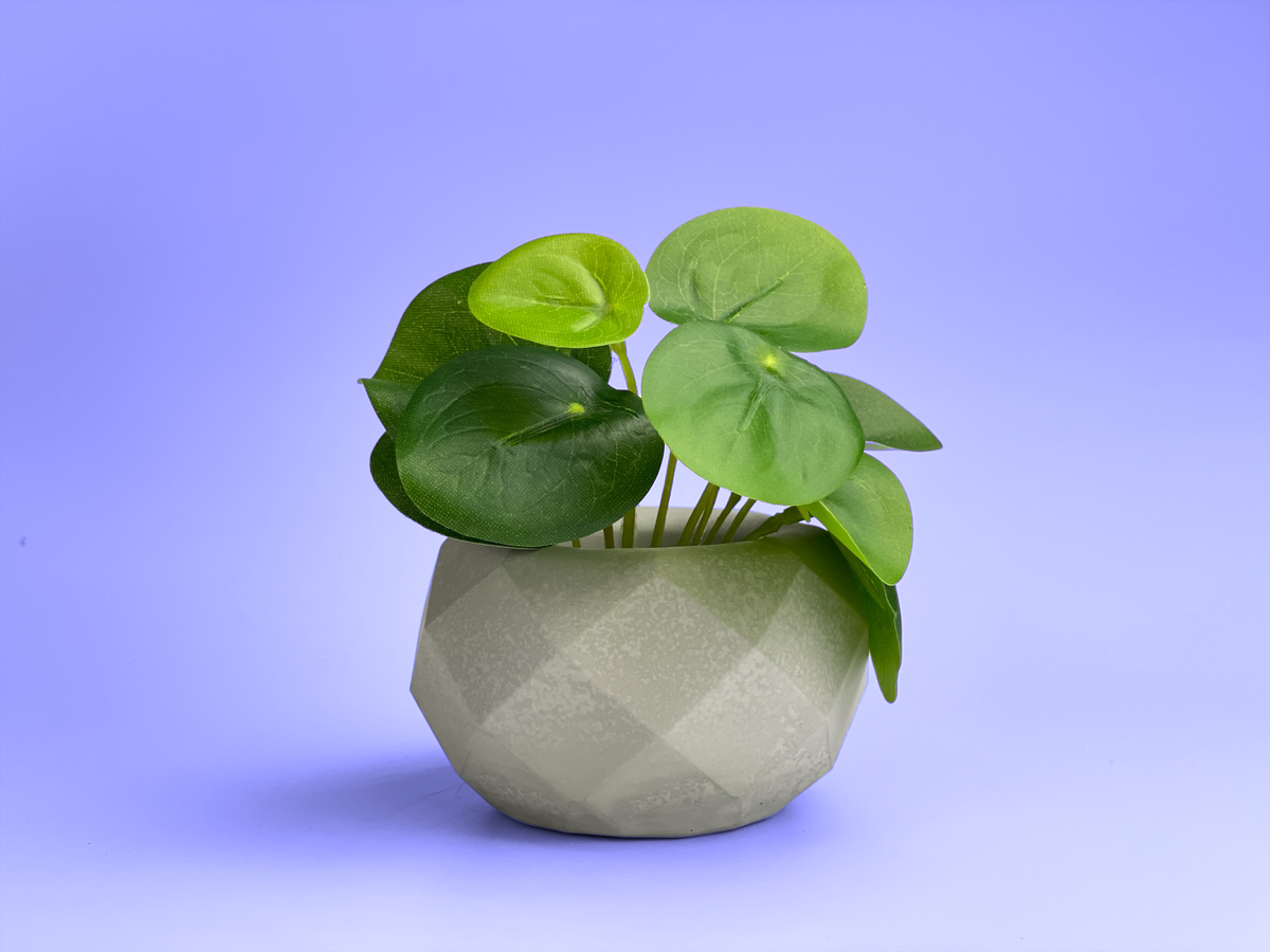 Geometric Air Plant Holder