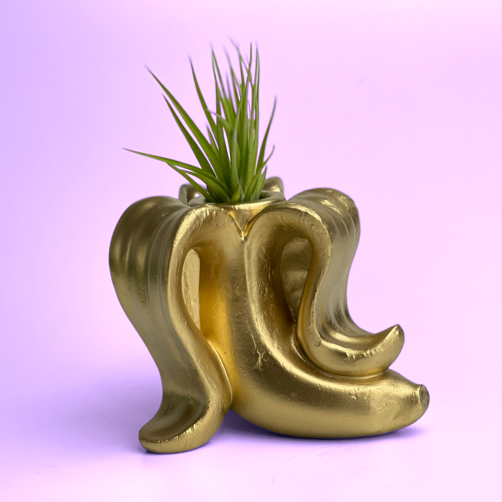 Banana Air Plant Holder