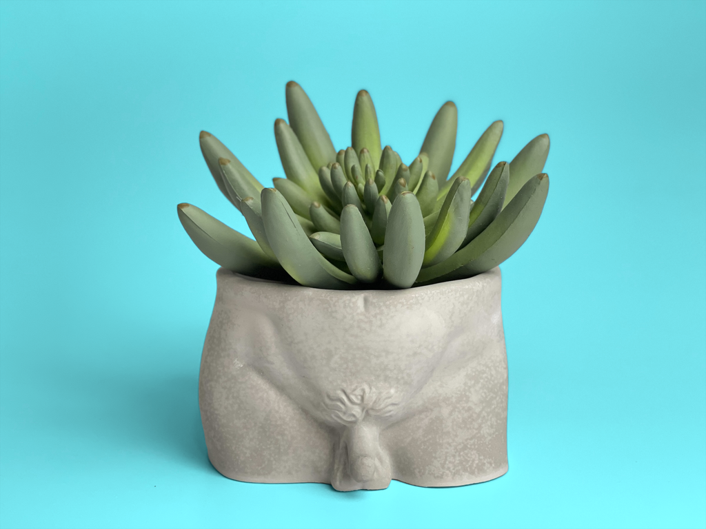 Male Body Planter Pot | Butt