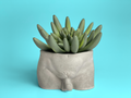 Male Body Planter Pot | Butt