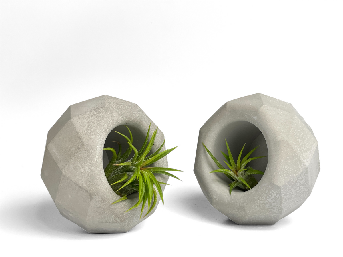 Geometric Air Plant Holder