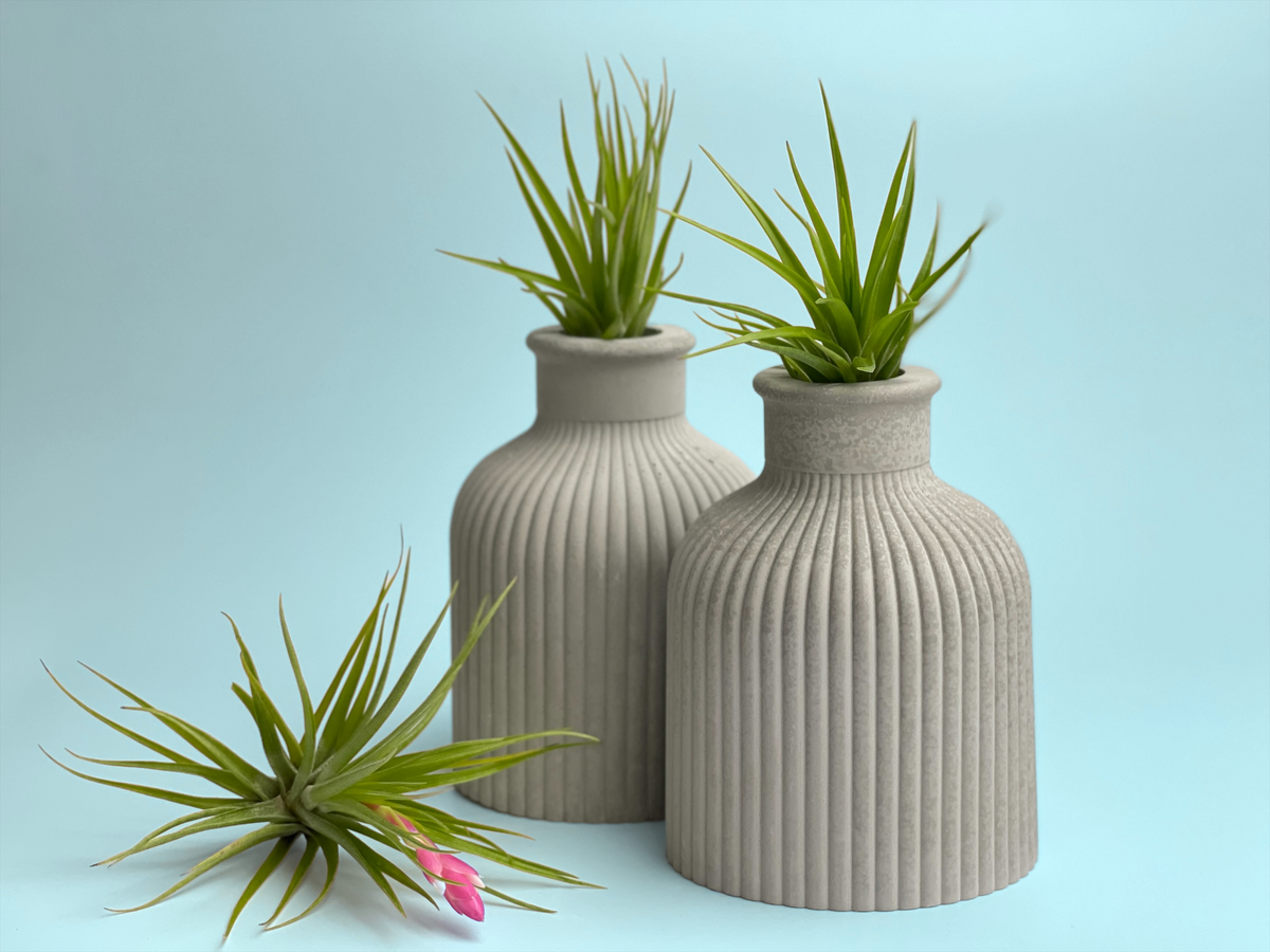 SKINNY MINI VASE | AIR PLANT HOLDER