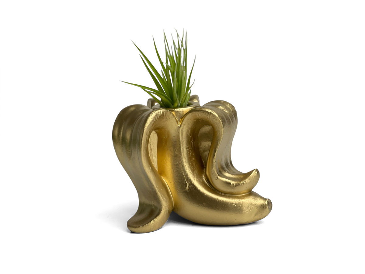 Banana Air Plant Holder