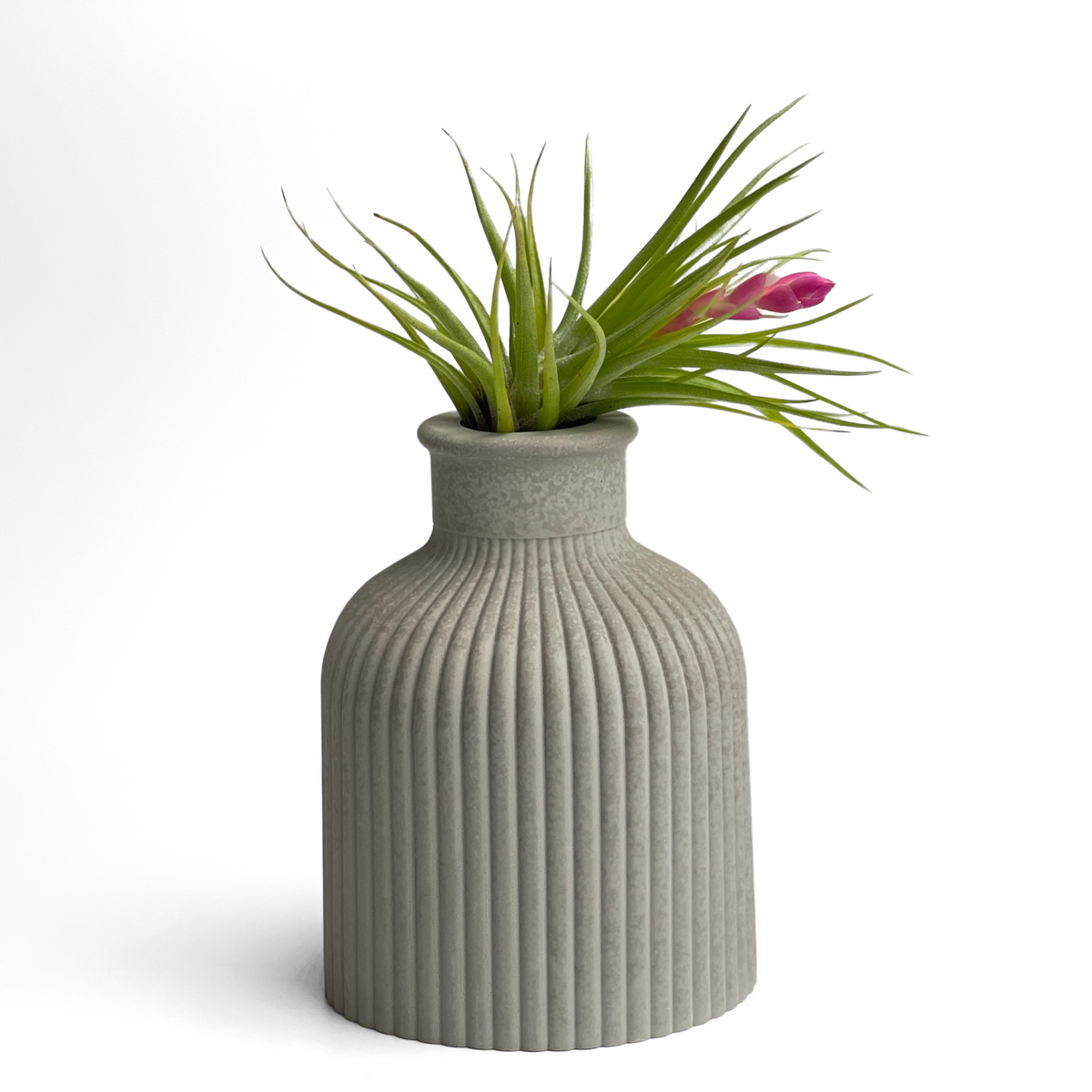 SKINNY MINI VASE | AIR PLANT HOLDER