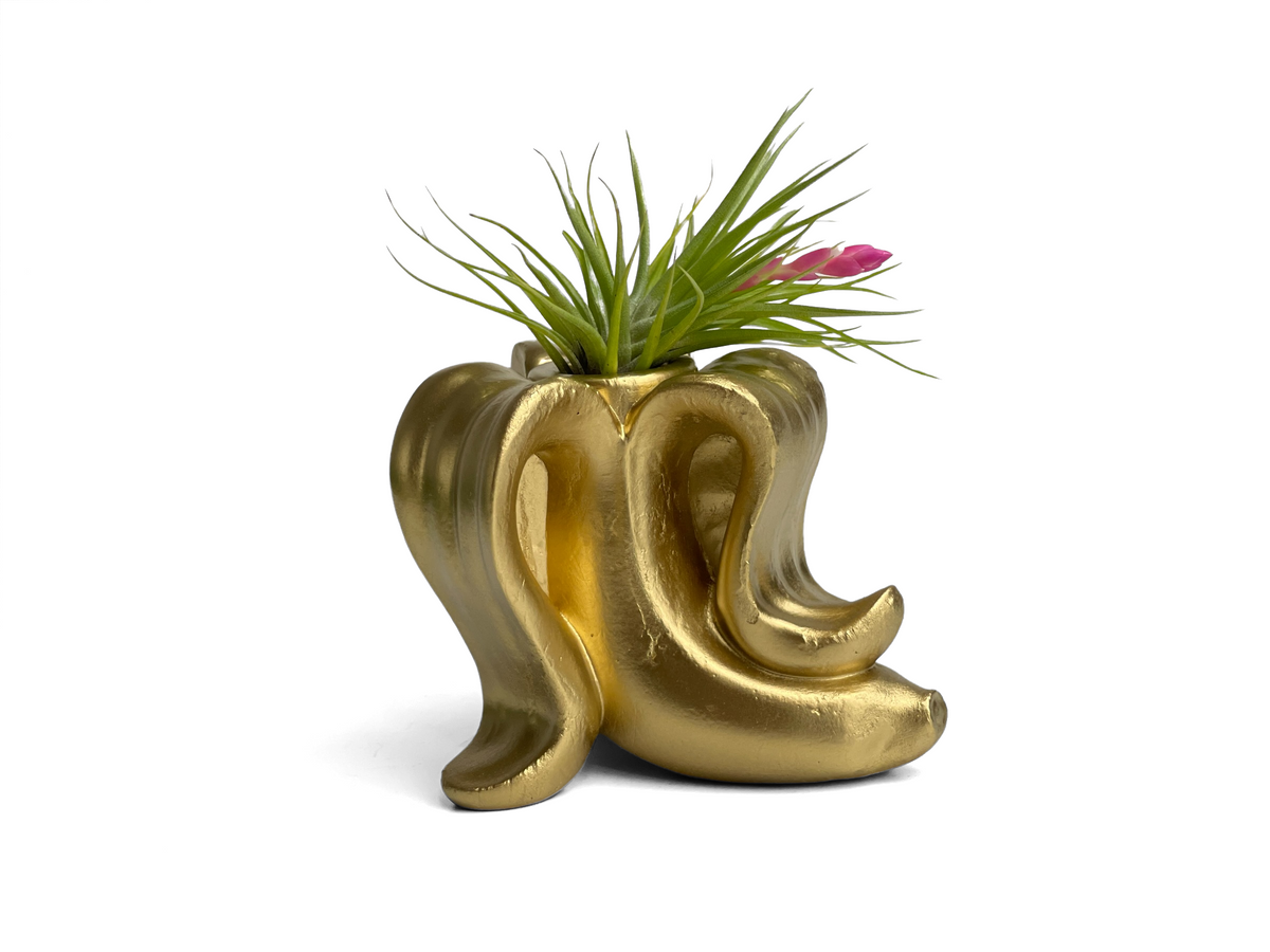 Banana Air Plant Holder
