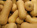 100 Waltham Butternut Winter Squash Seeds