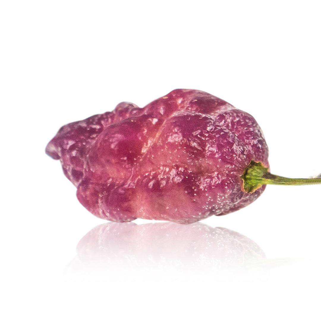 Pink Tiger X Peach Bhut Chili Pepper Seeds