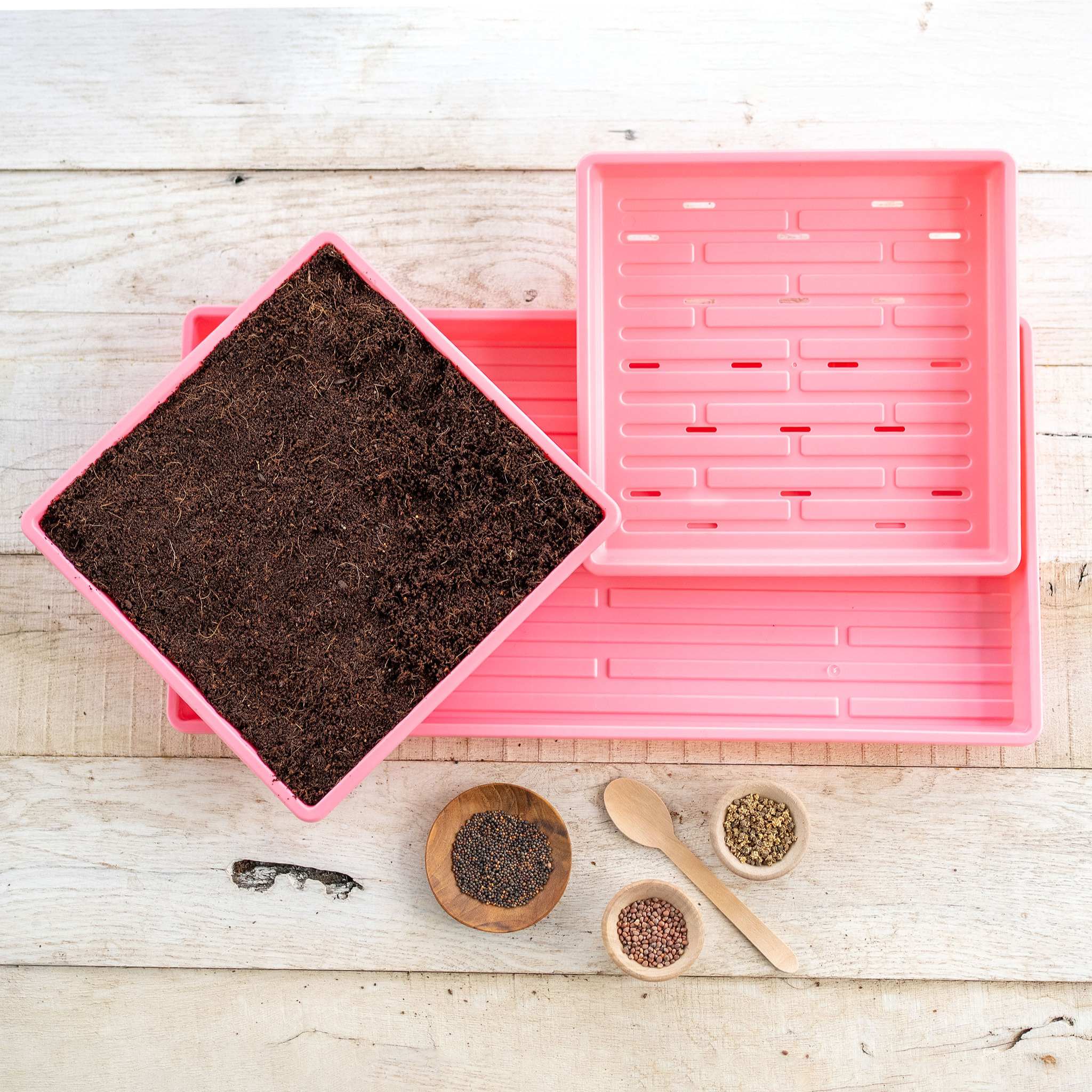 1010 Microgreens Kit