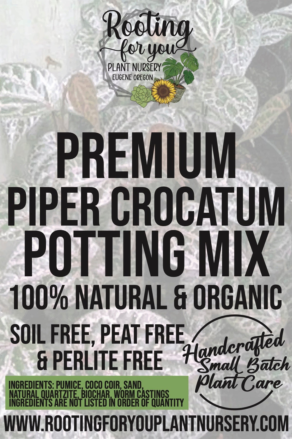 Piper Crocatum Premium Potting Mix