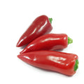 Piquillo Pepper Seeds