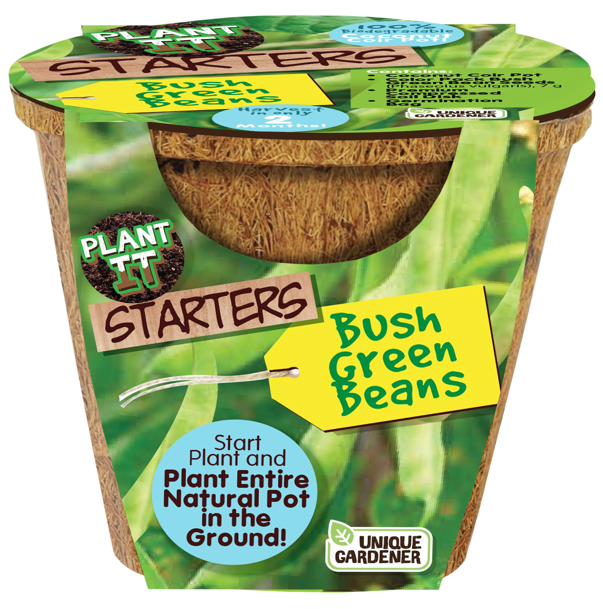 Green Bush Beans Plant-It-Starters - Multipack of 4