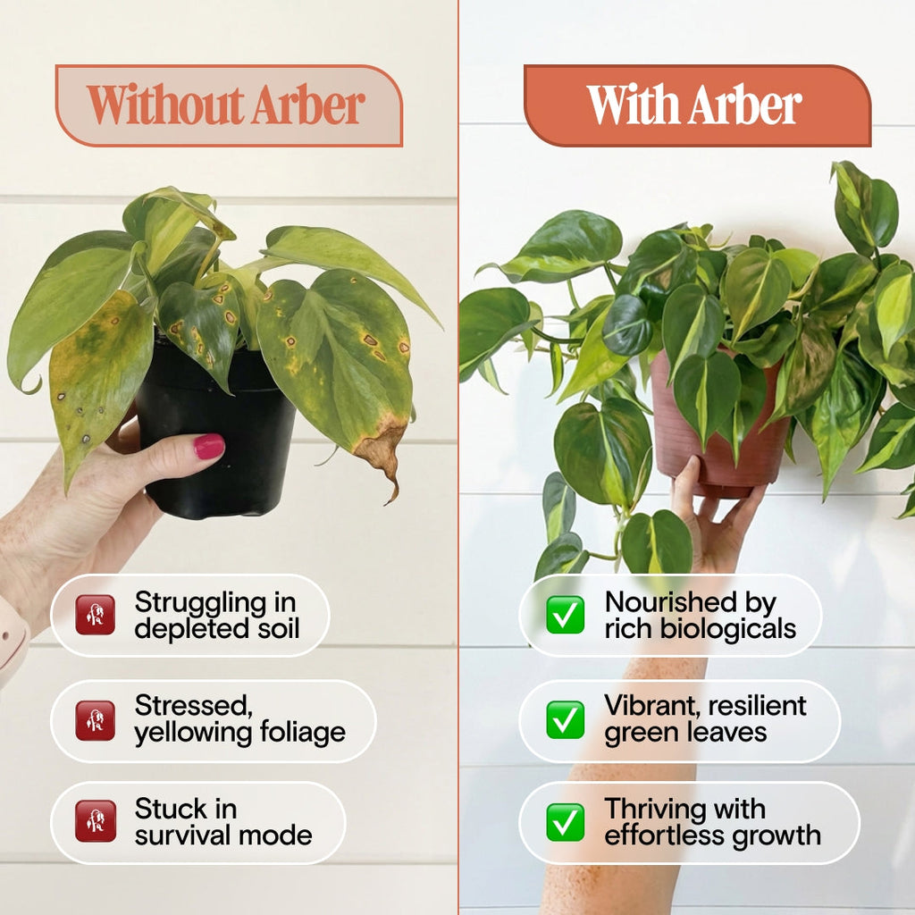 Organic Plant Food