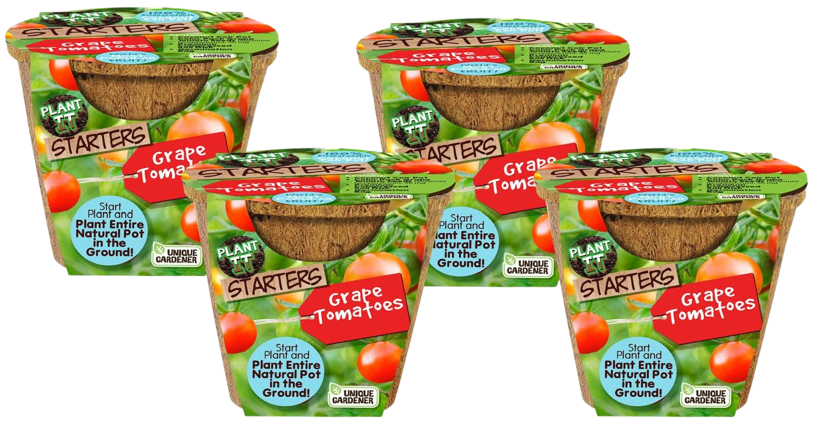 Grape Tomatoes Plant-It-Starters - Multipack of 4
