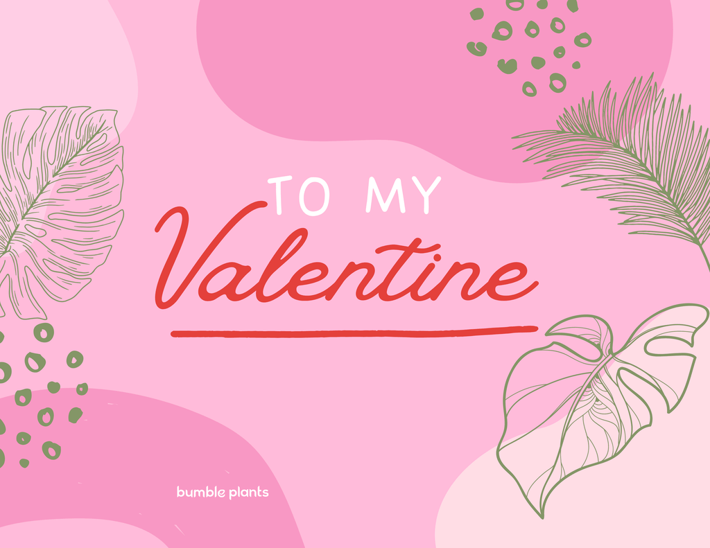 "To My Valentine" Plant Card