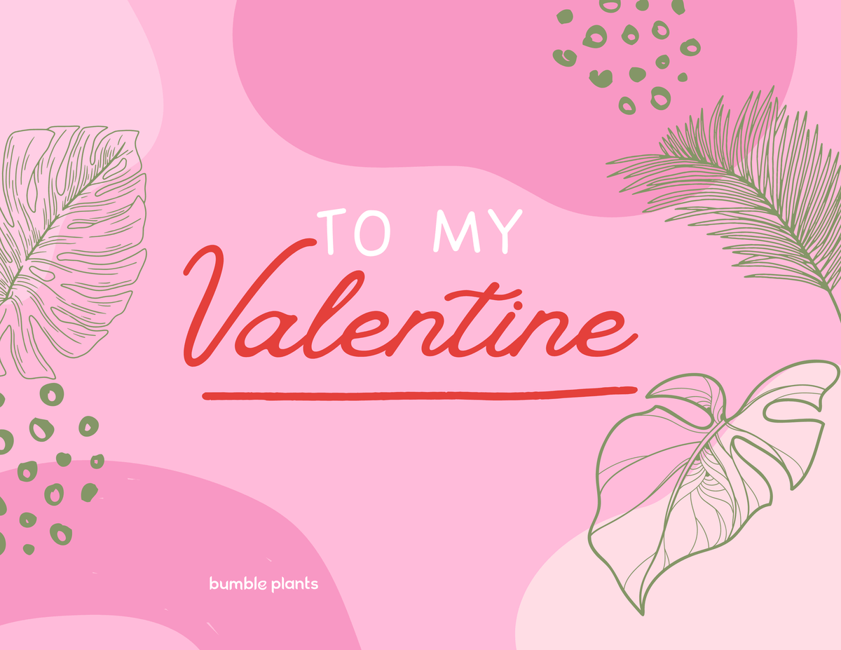 "To My Valentine" Plant Card