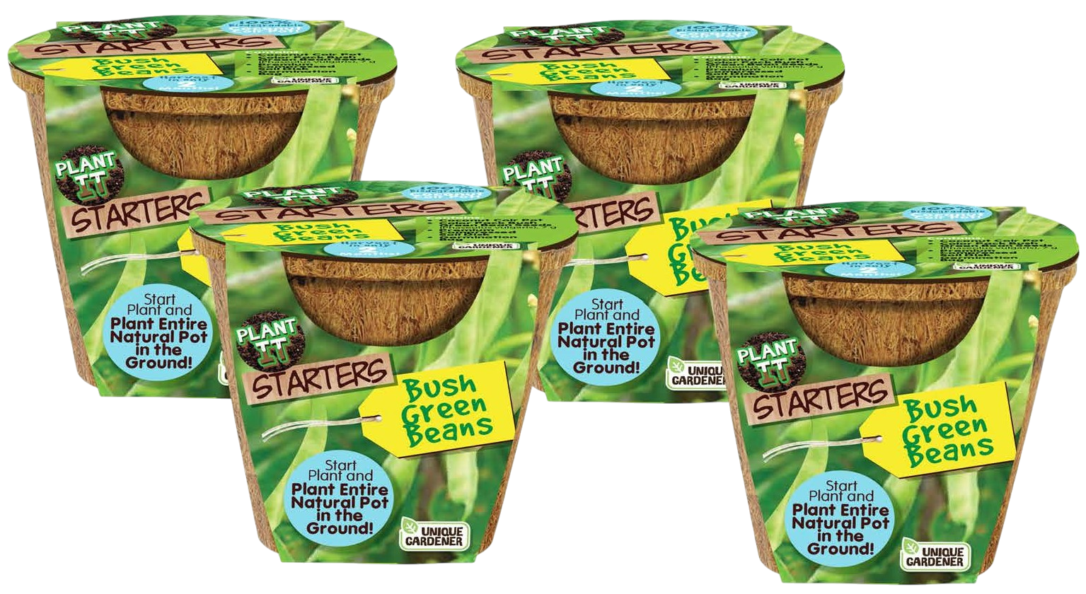 Green Bush Beans Plant-It-Starters - Multipack of 4