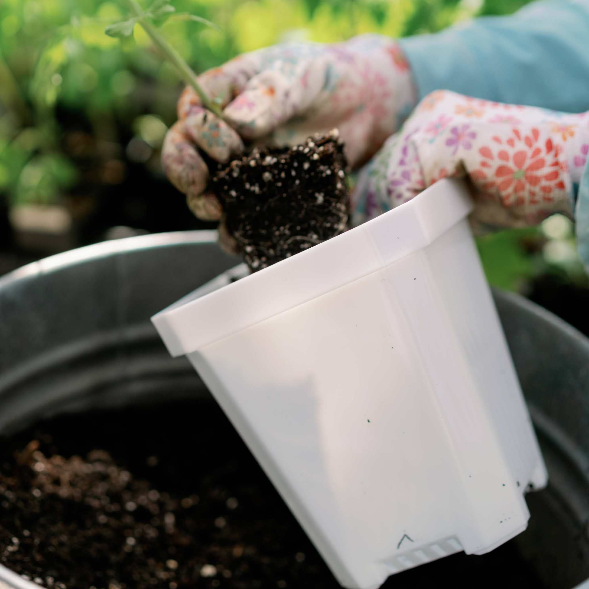 5" Nursery Pots with Insert Tray