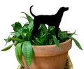 Plott Hound Plant Stake