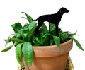 Pointer Plant Stake