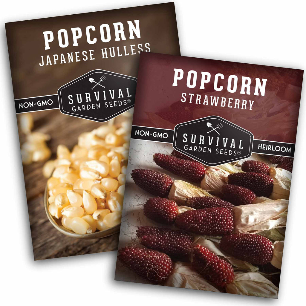 Popcorn Seed Collection – Strawberry & Japanese Hulless Popcorn Seeds for Home Gardens, Snacking, and Decorative Use