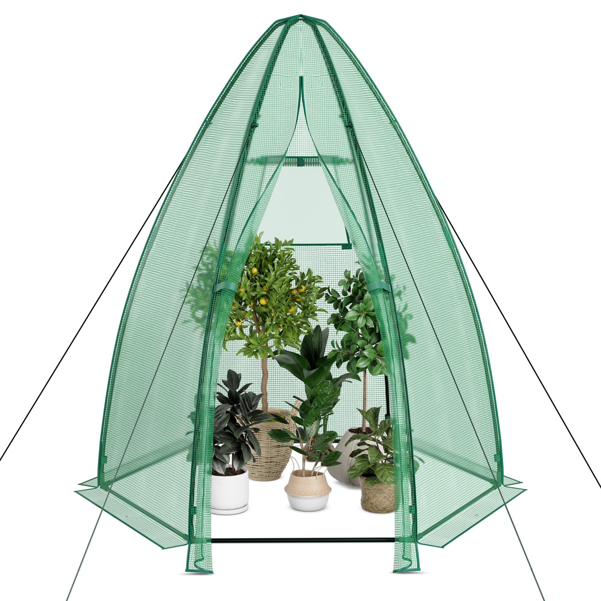 5.5 x 5.5 x 6 Feet Portable Mini Greenhouse with All-Weather PE Cover