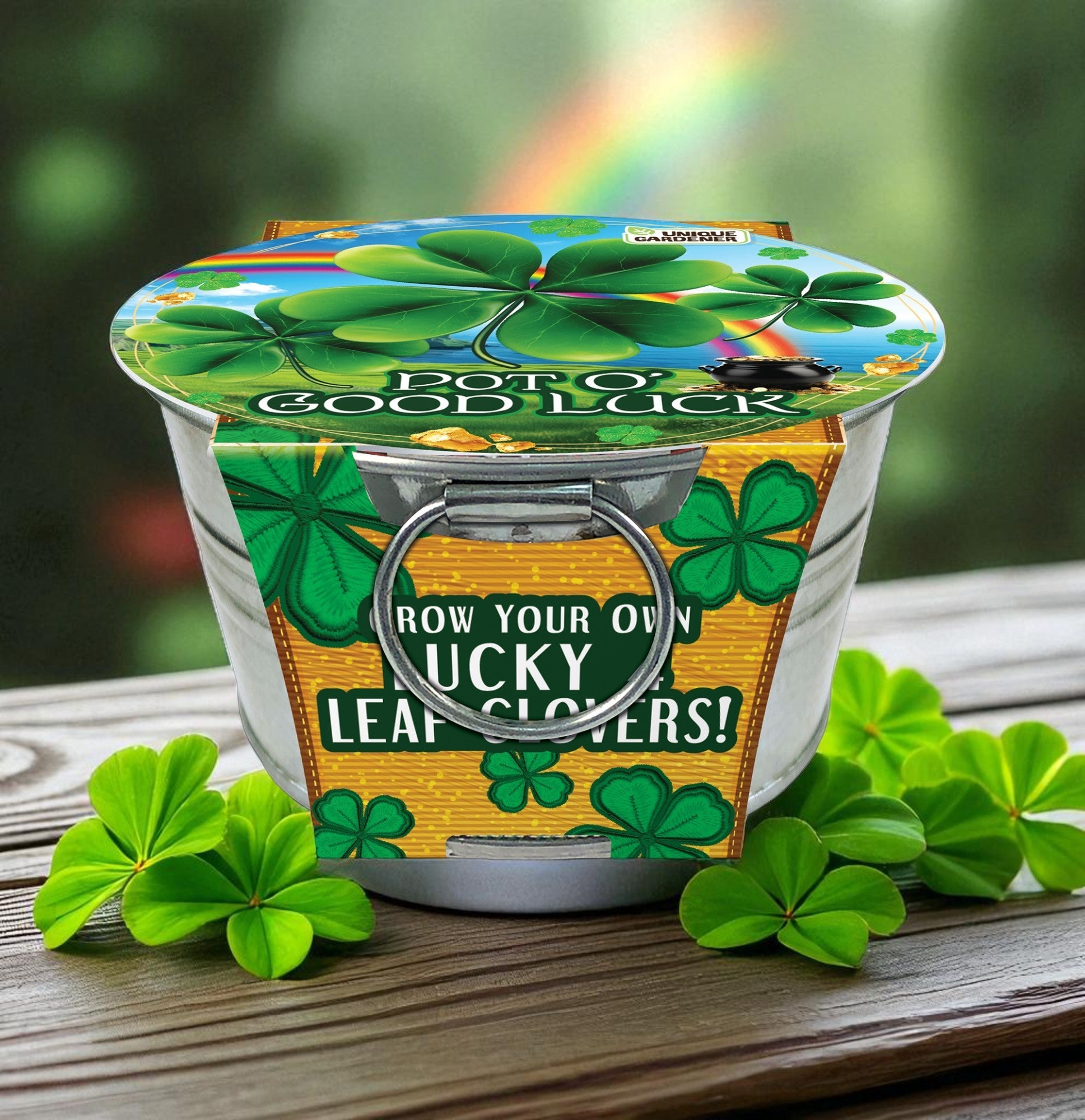 Pot O' Good Luck - Grow Your Own Shamrocks Multipack of 3