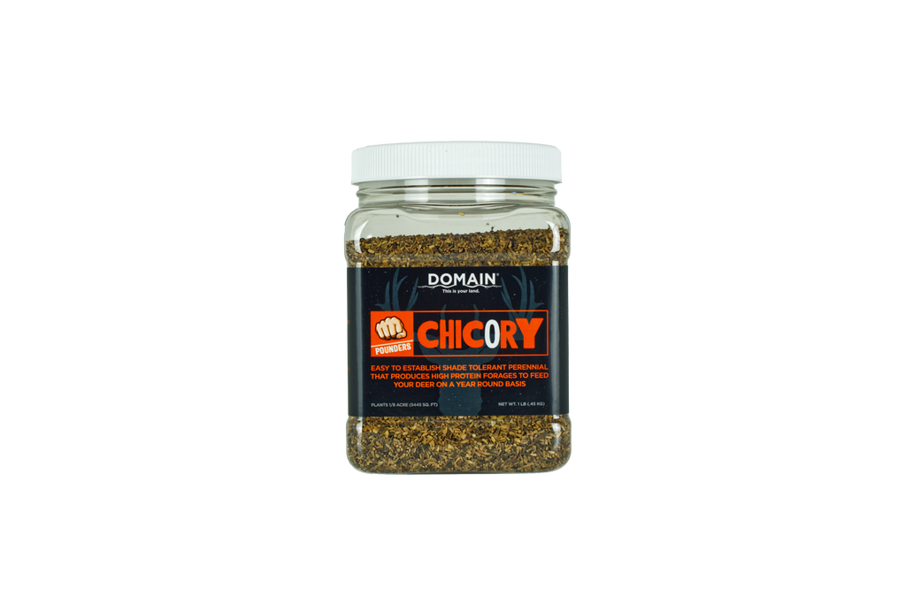 Domain Pounder – Chicory Food Plot Seed