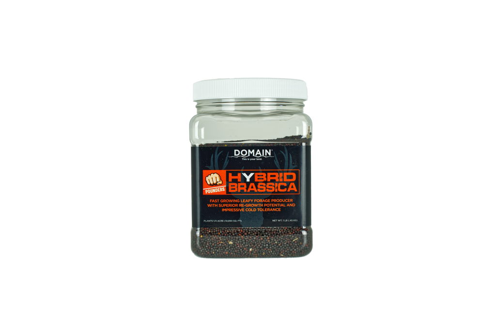 Domain Pounder – Hybrid Brassica Food Plot Seed