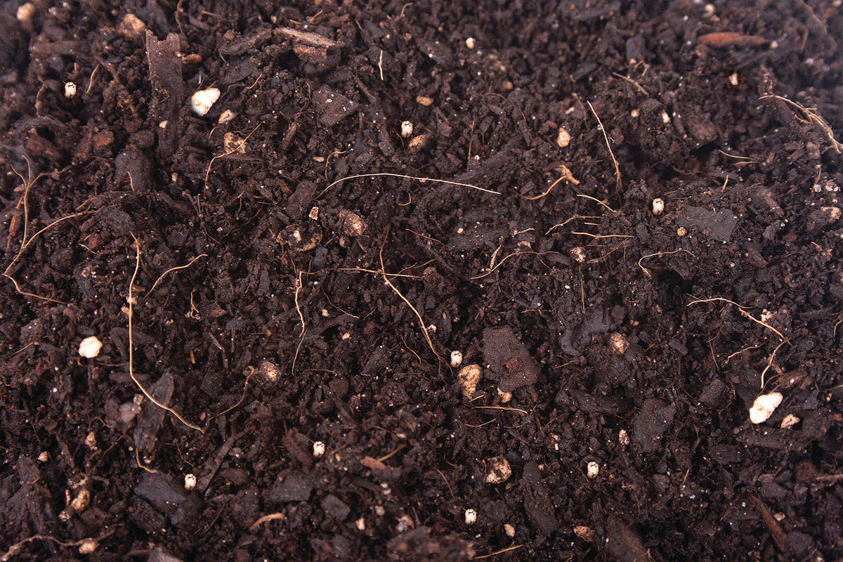ORGANIC MECHANICS® Premium Blend Potting Soil COLLECTIVE