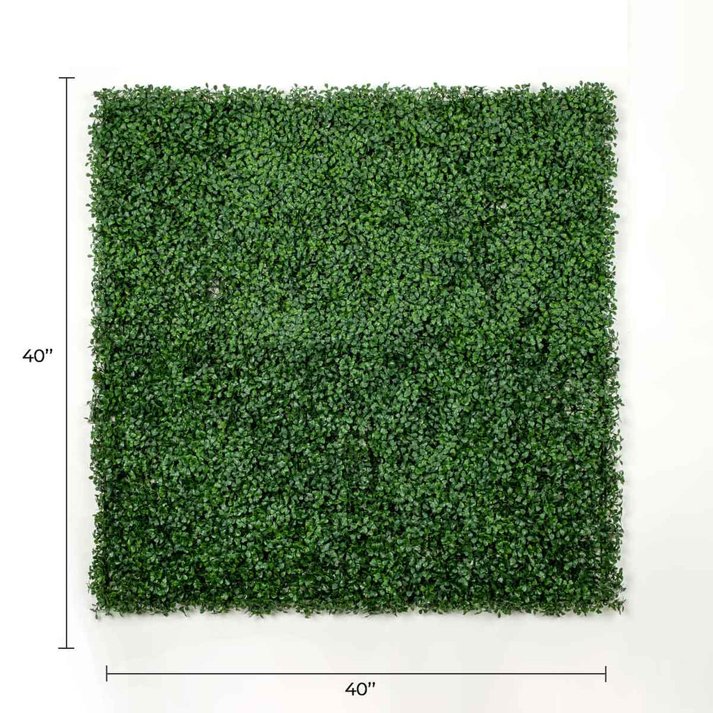 Dark Boxwood Artificial Vertical Garden Green Wall Panel Set of 6 66 SQ FT – UV Resistant – Commercial Grade