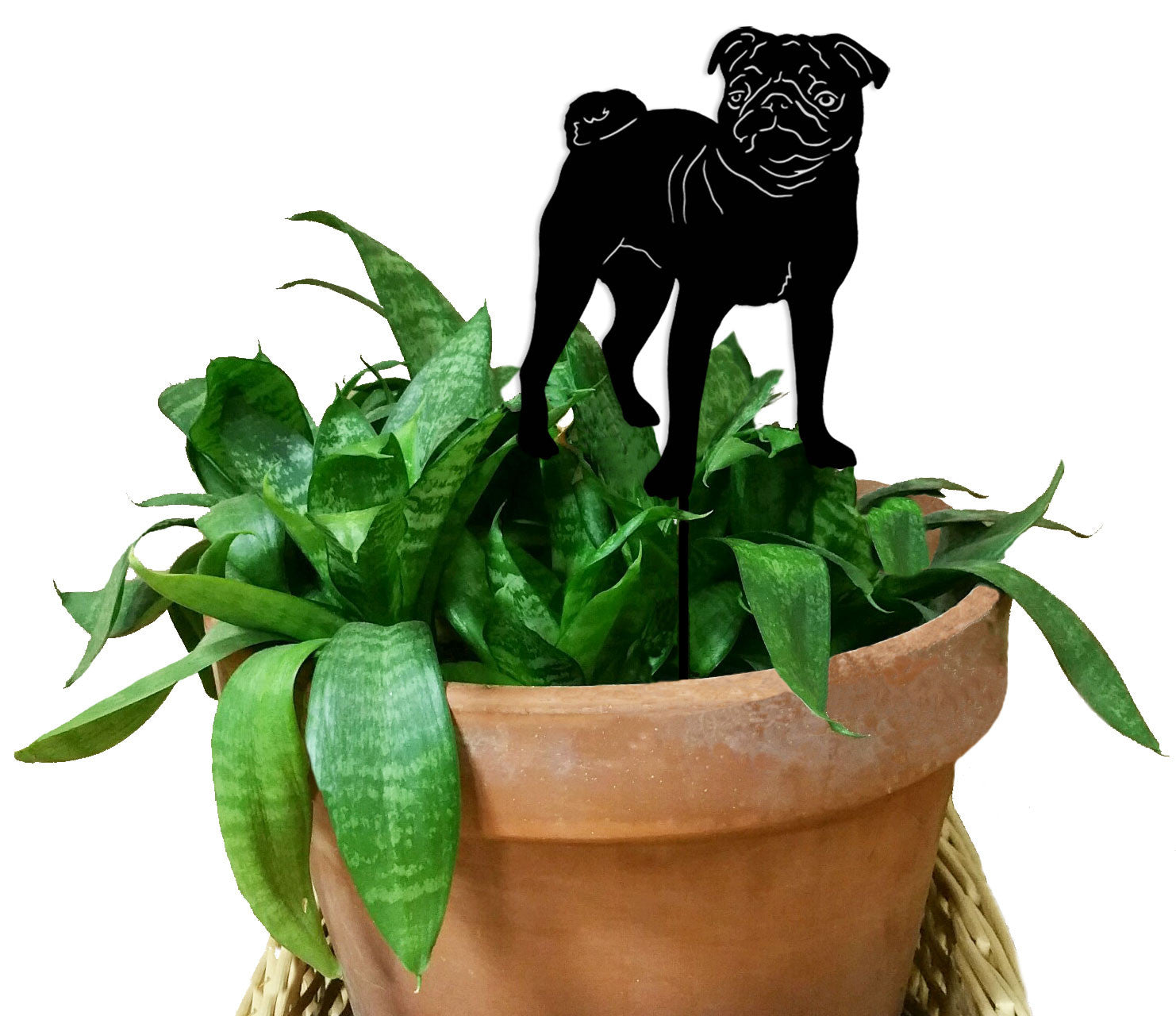 Pug Plant Stake