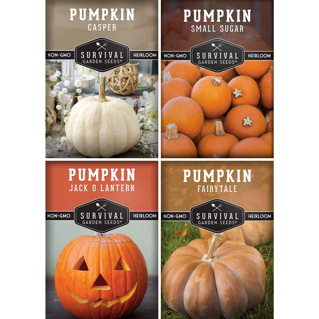 Pumpkin Seeds Variety Pack – 4 Heirloom Non-GMO Varieties for Baking, Carving, Fall Décor & Family Gardening