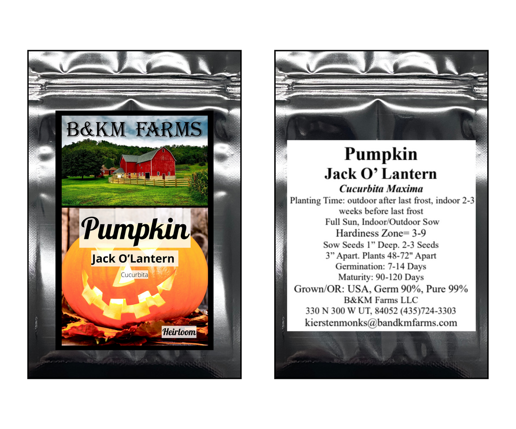 Pumpkin Jack O' Lantern Heirloom Seeds