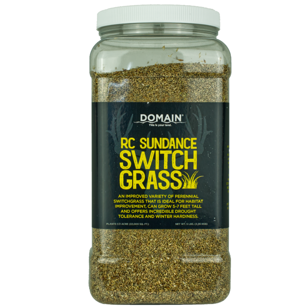 RC Sundance Switchgrass Habitat Seed