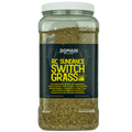 RC Sundance Switchgrass Habitat Seed