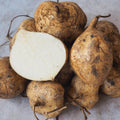 Jicama