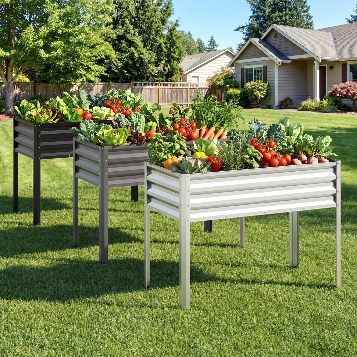 Raised Garden Bed Set of 2 Electro-Coating Metal Large Elevated Planter Box