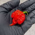 Reaper Madness Pepper Seed Collection
