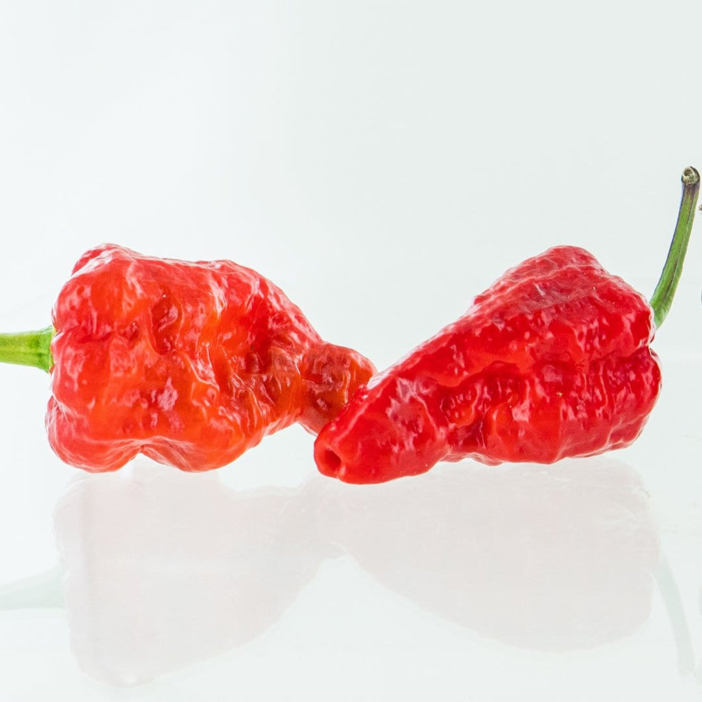 Red Naga Brain Pepper Seeds