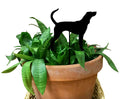 Red Tick Dog Plant Stake