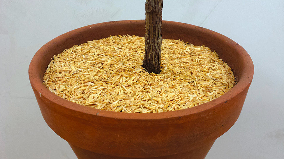 ORGANIC MECHANICS® Pure Rice Hulls COLLECTIVE