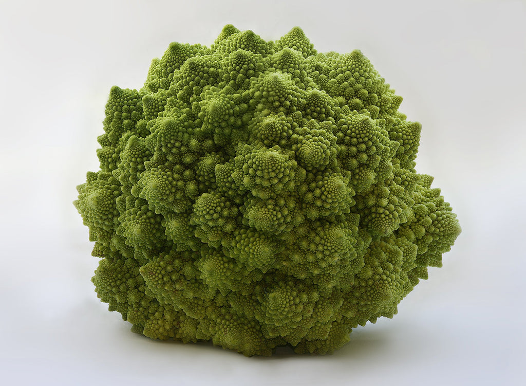 250 Romanesco Broccoli Seeds - Brassica oleracea Romanesco - Non-GMO