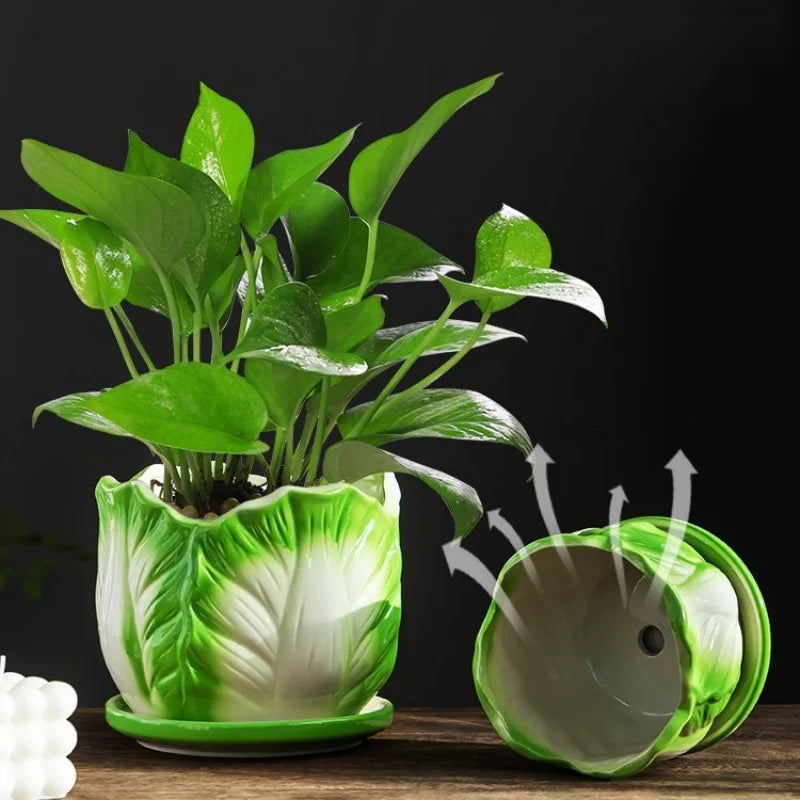 DecorBites™ Cabbage Flowerpot with Tray | Creative Cartoon Vegetable Basin | Indoor Garden Flower Vase