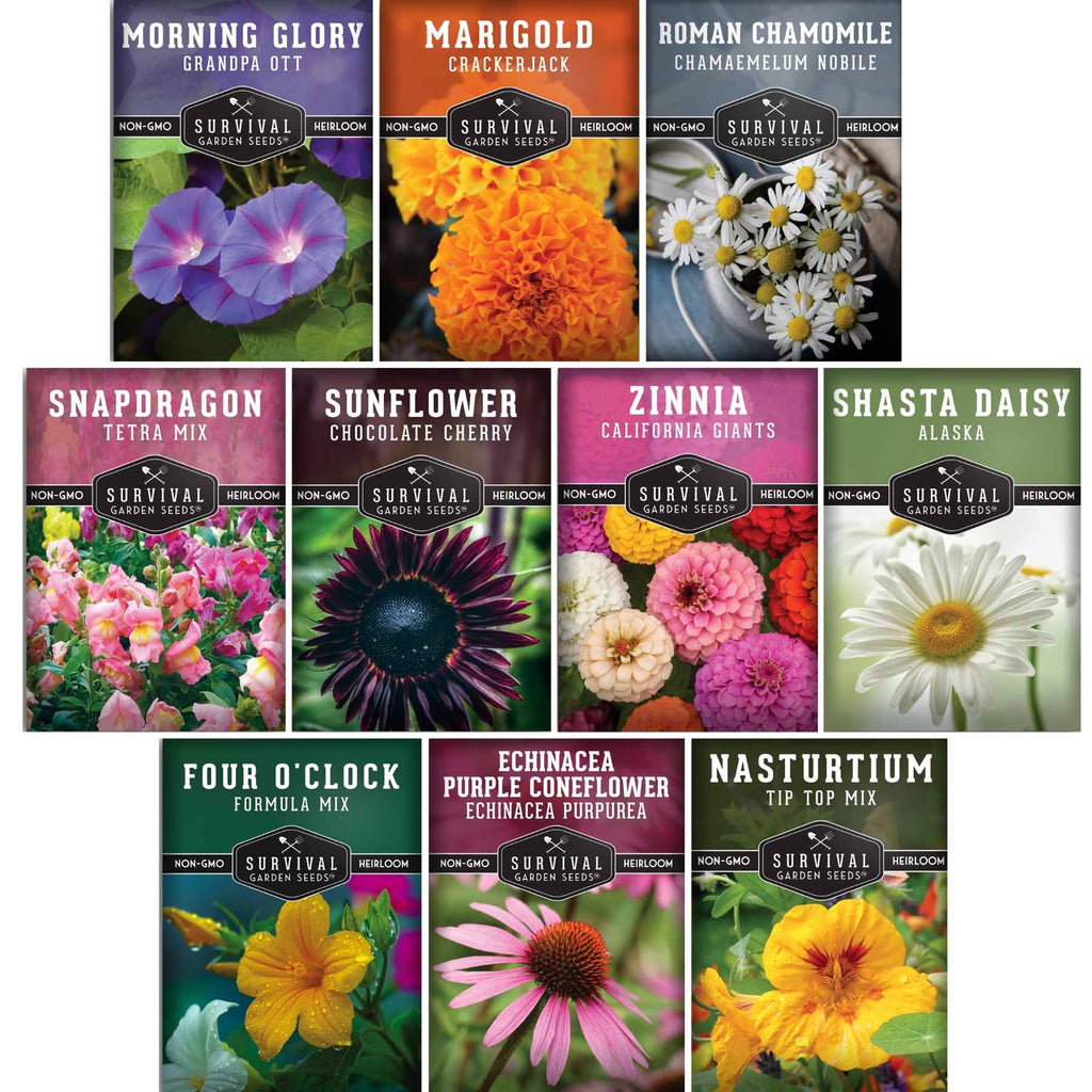 10 Heirloom Flower Seed Collection – Non-GMO Annuals & Perennials