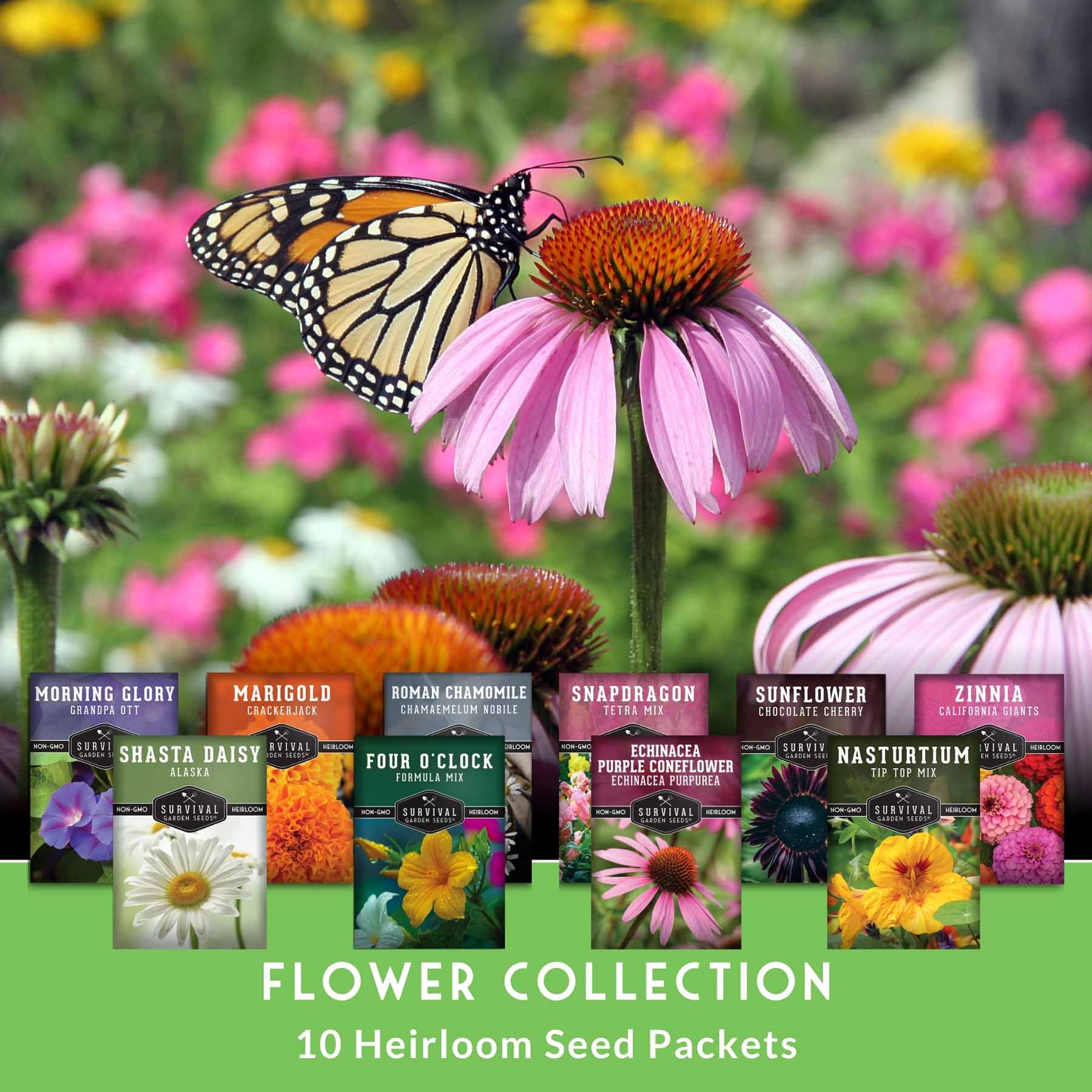10 Heirloom Flower Seed Collection – Non-GMO Annuals & Perennials