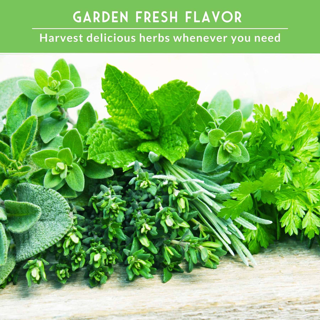 18 Culinary Herb Seed Collection – Heirloom Herbs for Cooking, Teas, Remedies & Year-Round Kitchen Gardens