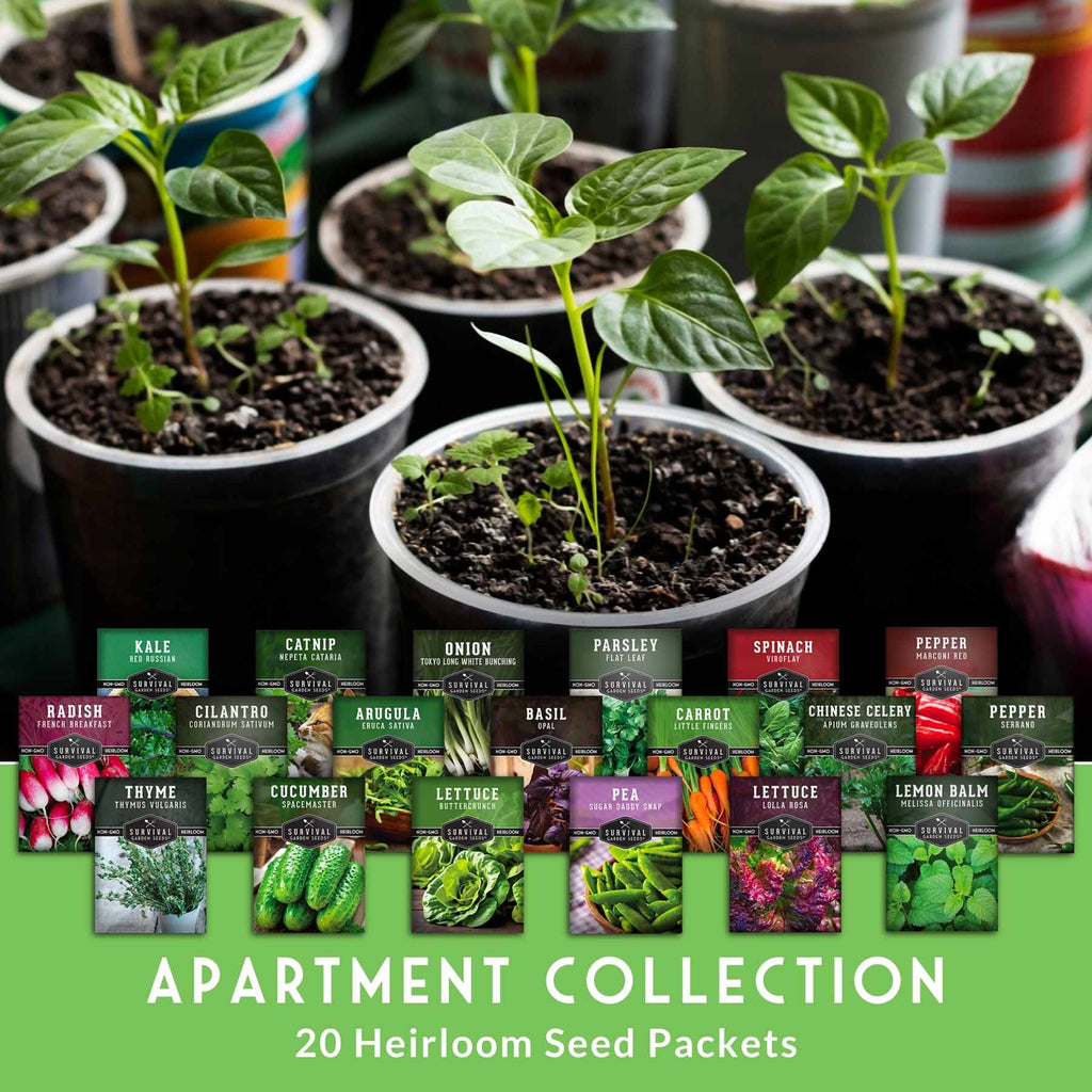 20 Variety Apartment Kit Seed Vault – Non-GMO Heirloom Seeds for Hydroponic & Indoor Small-Space Gardening