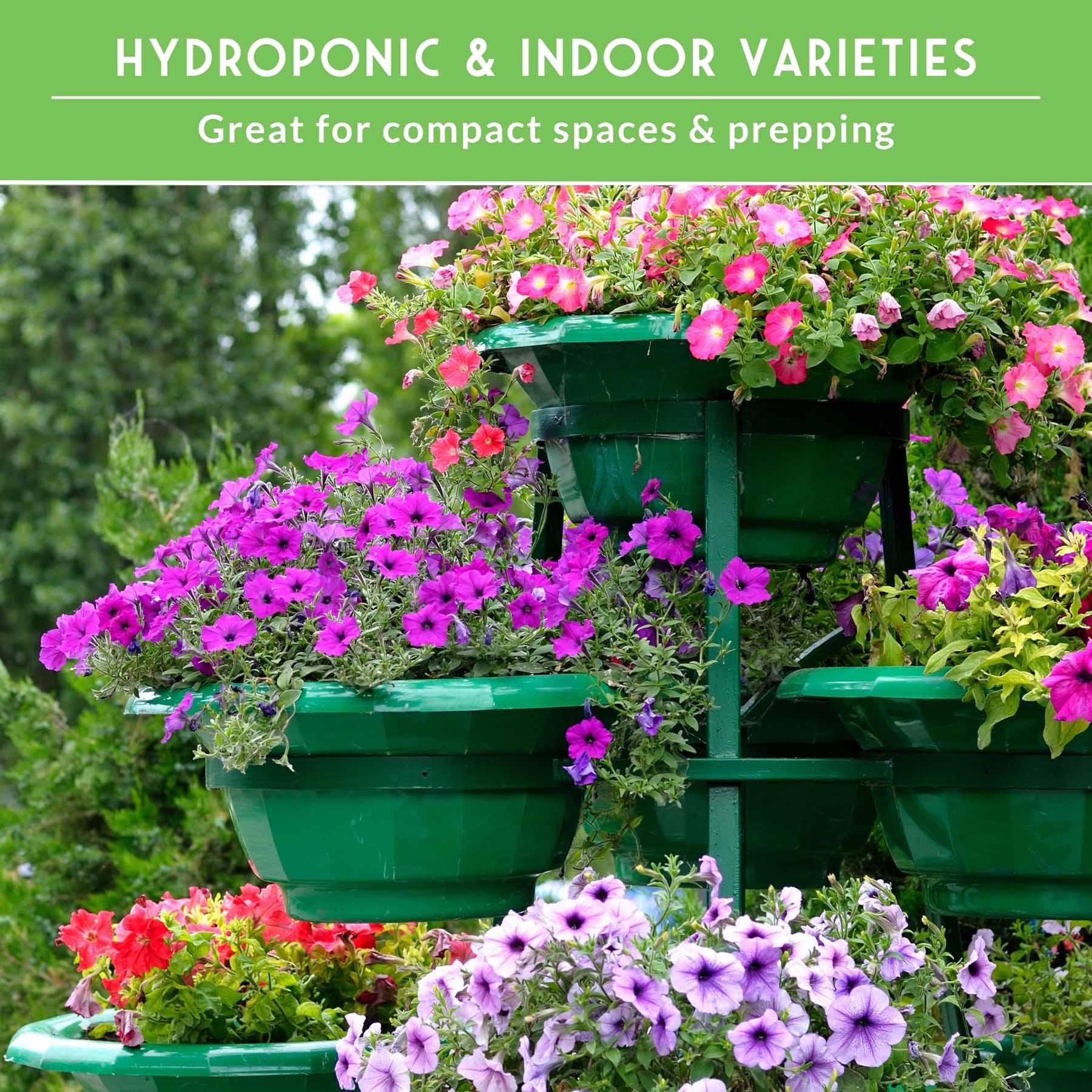 20 Variety Apartment Kit Seed Vault – Non-GMO Heirloom Seeds for Hydroponic & Indoor Small-Space Gardening