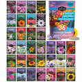 Flower Garden Collection - 36 Flower Seeds for Beauty, Bees & Wellness